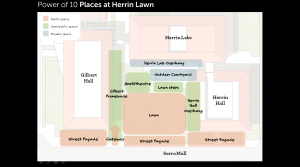 The Power of 10 bubble diagram I made for Herrin Lawn at Stanford demonstrates how successful spaces should have at least 10 different zones or activities to engage all visitors. 